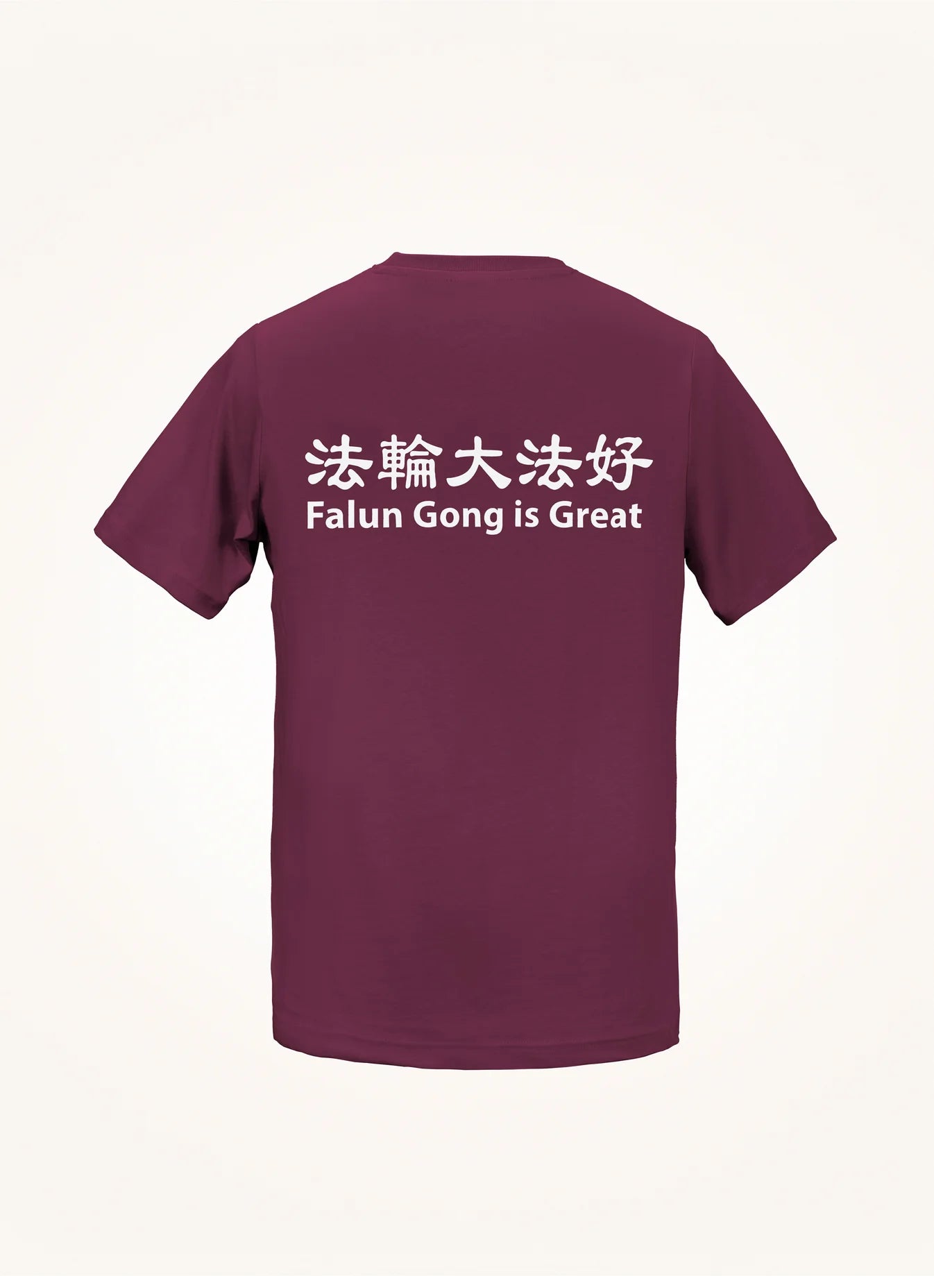 Falun Gong is Great T-Shirt
