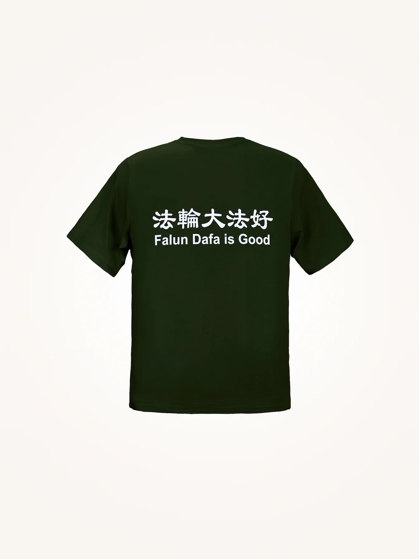 Falun Dafa is Good T-Shirt Adult