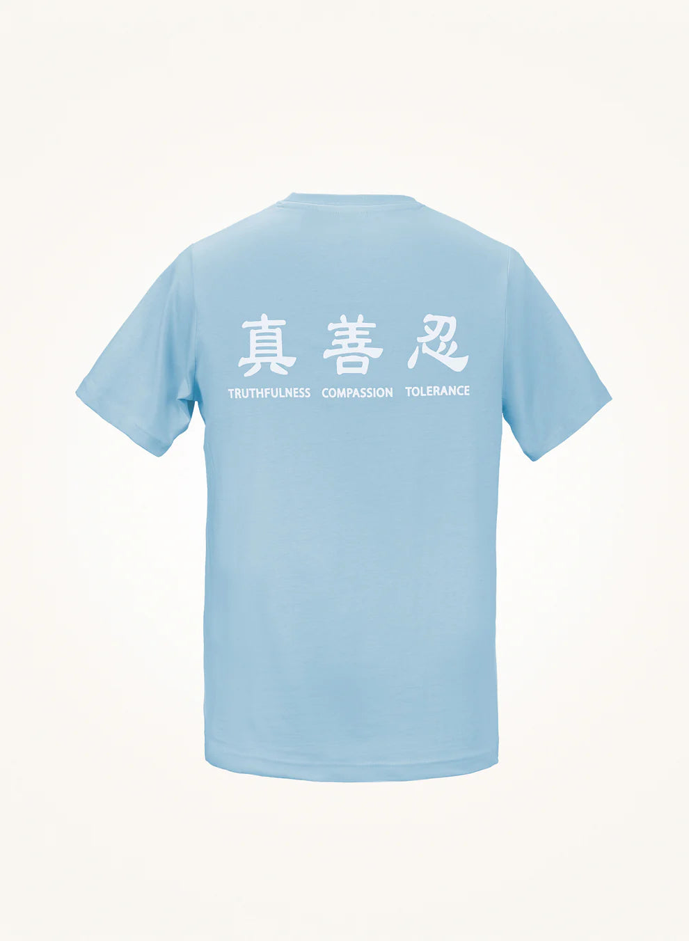 Truthfulness, Compassion, Tolerance T-Shirt Blue Gray