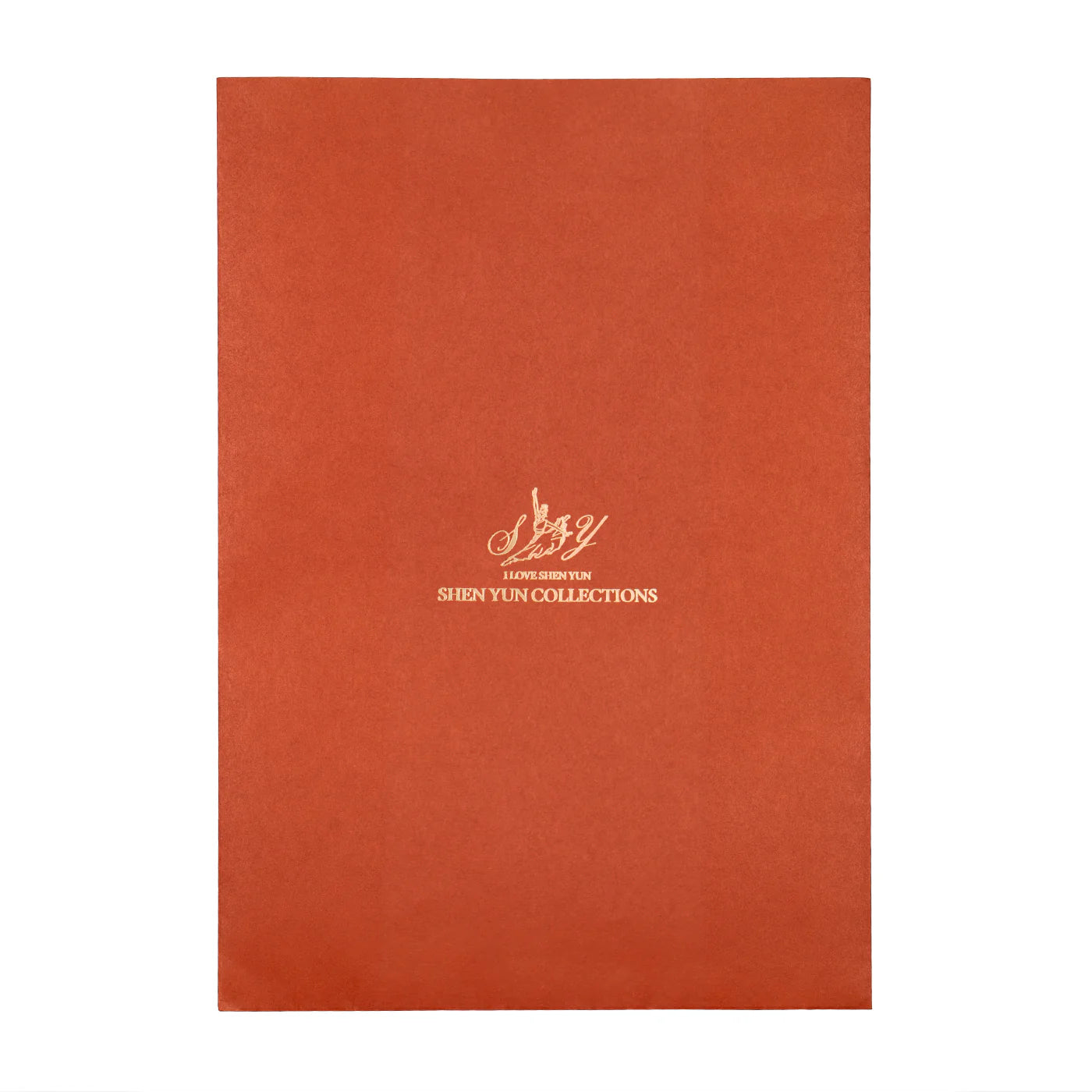 Medium Envelope Bag
