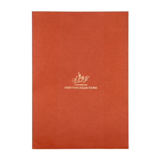 Medium Envelope Bag