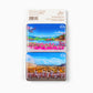 Shen Yun Magnet Collector's Set 2