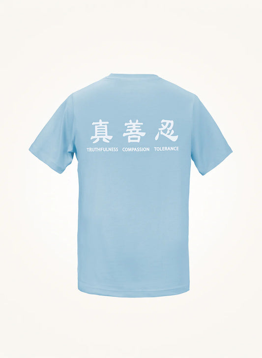 Truthfulness, Compassion, Tolerance T-Shirt Blue Gray
